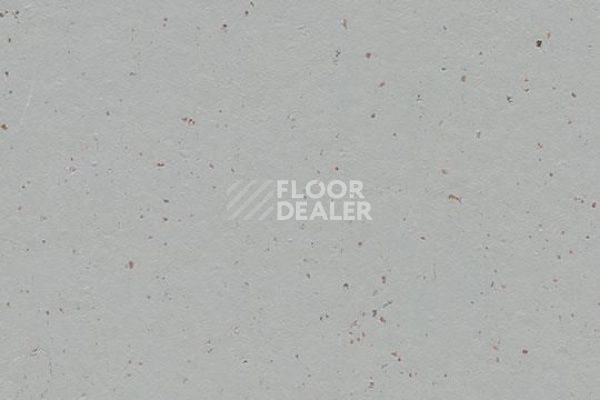 Линолеум Marmoleum Decibel on Order 358235 earl grey chocolate фото 1 | FLOORDEALER